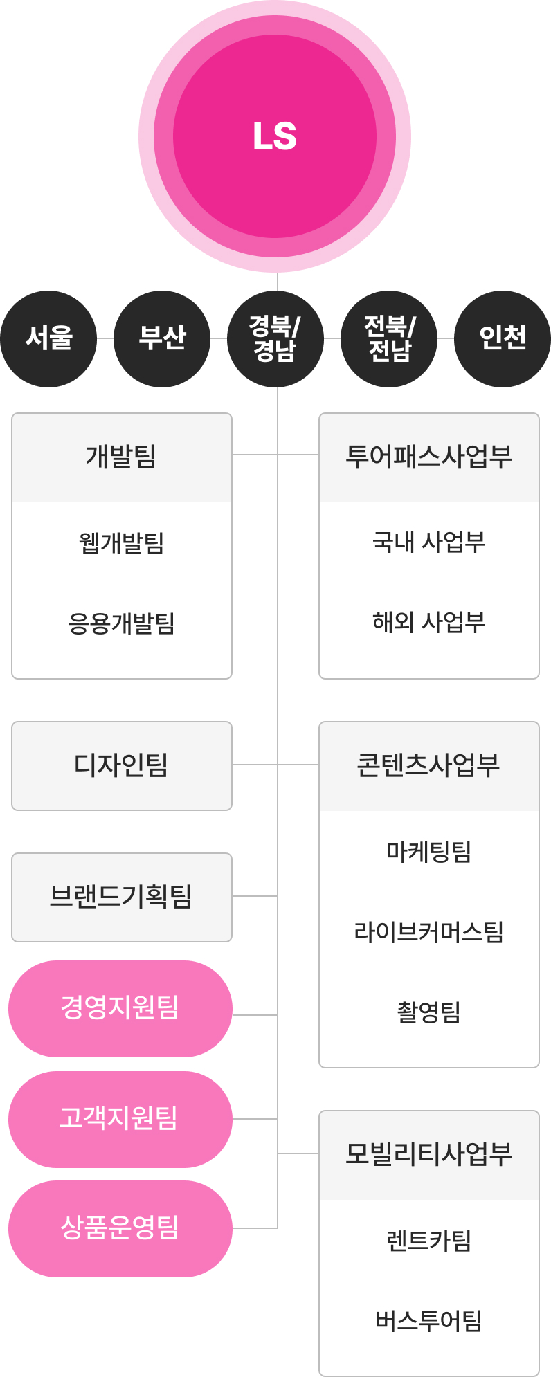 서울, 부산, 경북/경남, 전북/전남, 인천지사를 두고있으며 제주본사에는 경영지원팀, 고객지원팀, 개발팀, 디자인팀, 브랜드기획팀, 투어패스사업부, 콘텐츠사업부, 모빌리티사업부가 있습니다. 개발팀 산하에는 웹개발팀과 응용개발팀으로 나눠져있고 투어패스사업부 산하에는 제주상품기획팀과 내륙상품기획팀으로 구성되어있습니다. 콘텐츠사업부 산하에는 마케팅팀과 라이브커머스팀, 촬영팀이 구성되어 있으며 모빌리티사업부 산하에는 렌트카팀과 버스투어팀으로 구성되어 있습니다.