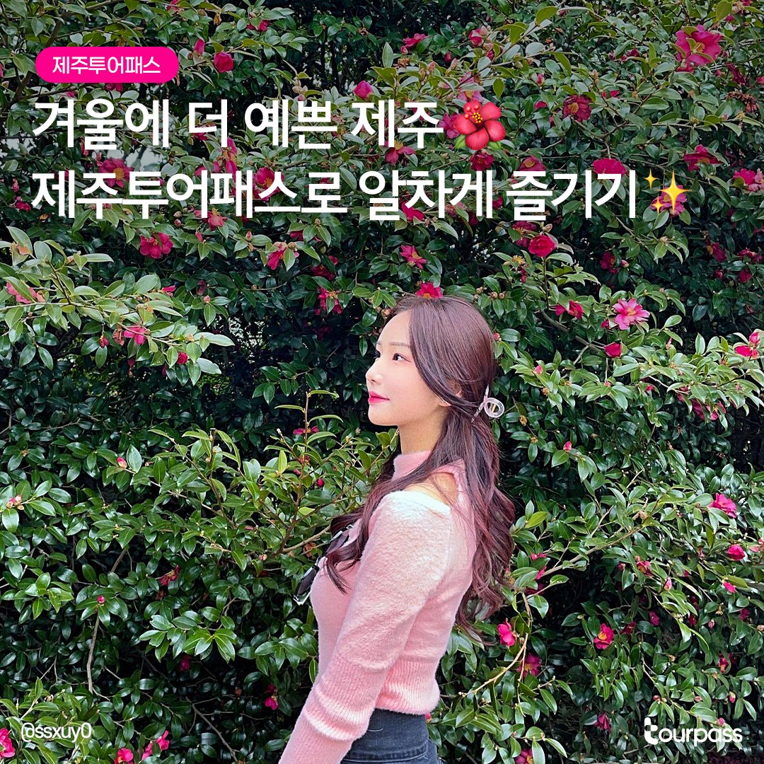 투어패스 공식 인스타그램 피드7